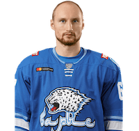 Шестаков Аркадий