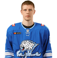 Гурков Дмитрий