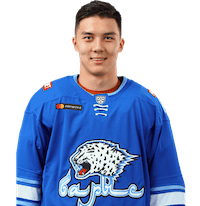 Шайхмедденов Ансар