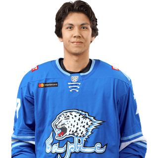 Нурлан Алдияр