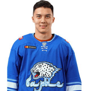 Шайхмедденов Ансар